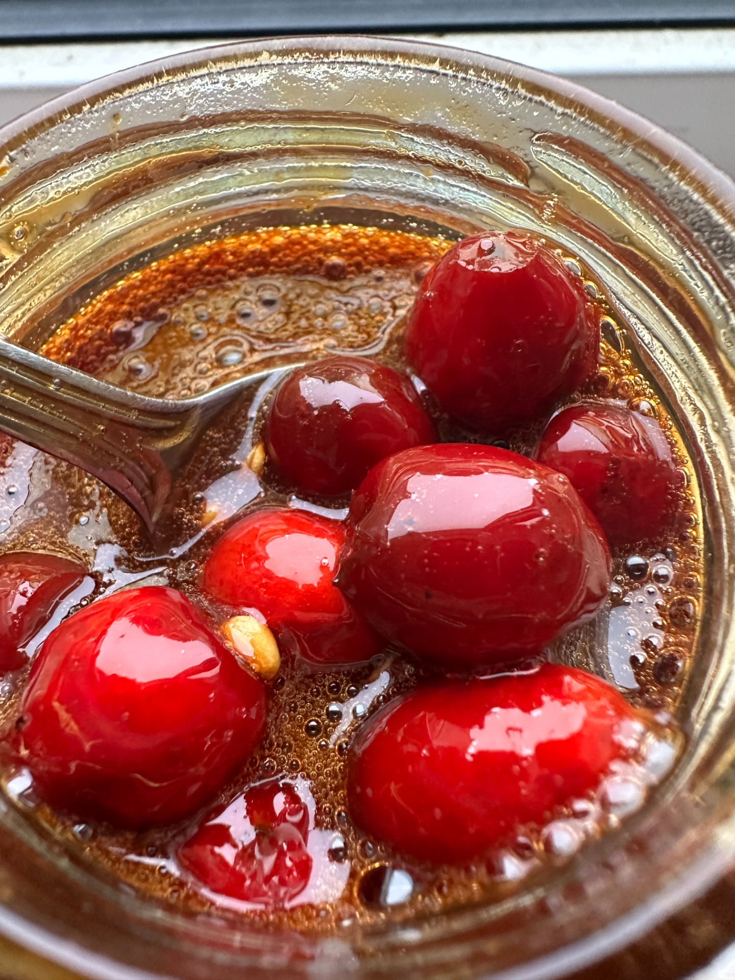 Rosehips fermenting in date molasses